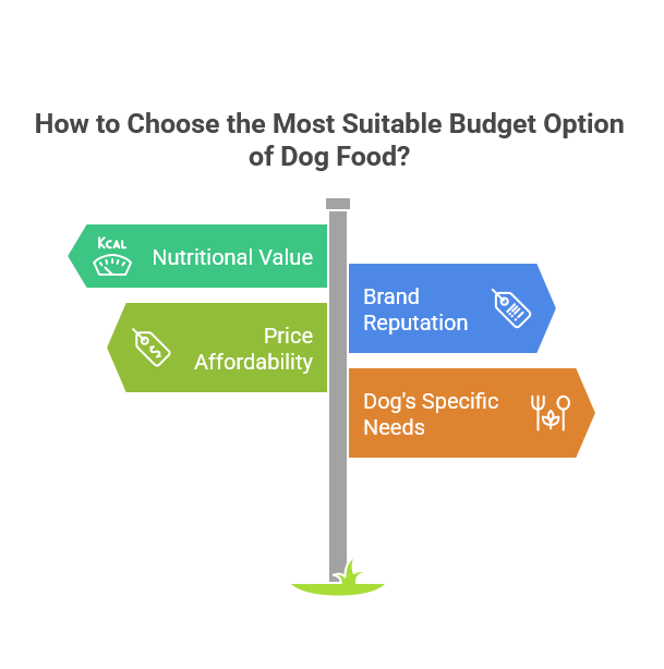 How to Choose the Most Suitable Budget Option of Dog Food